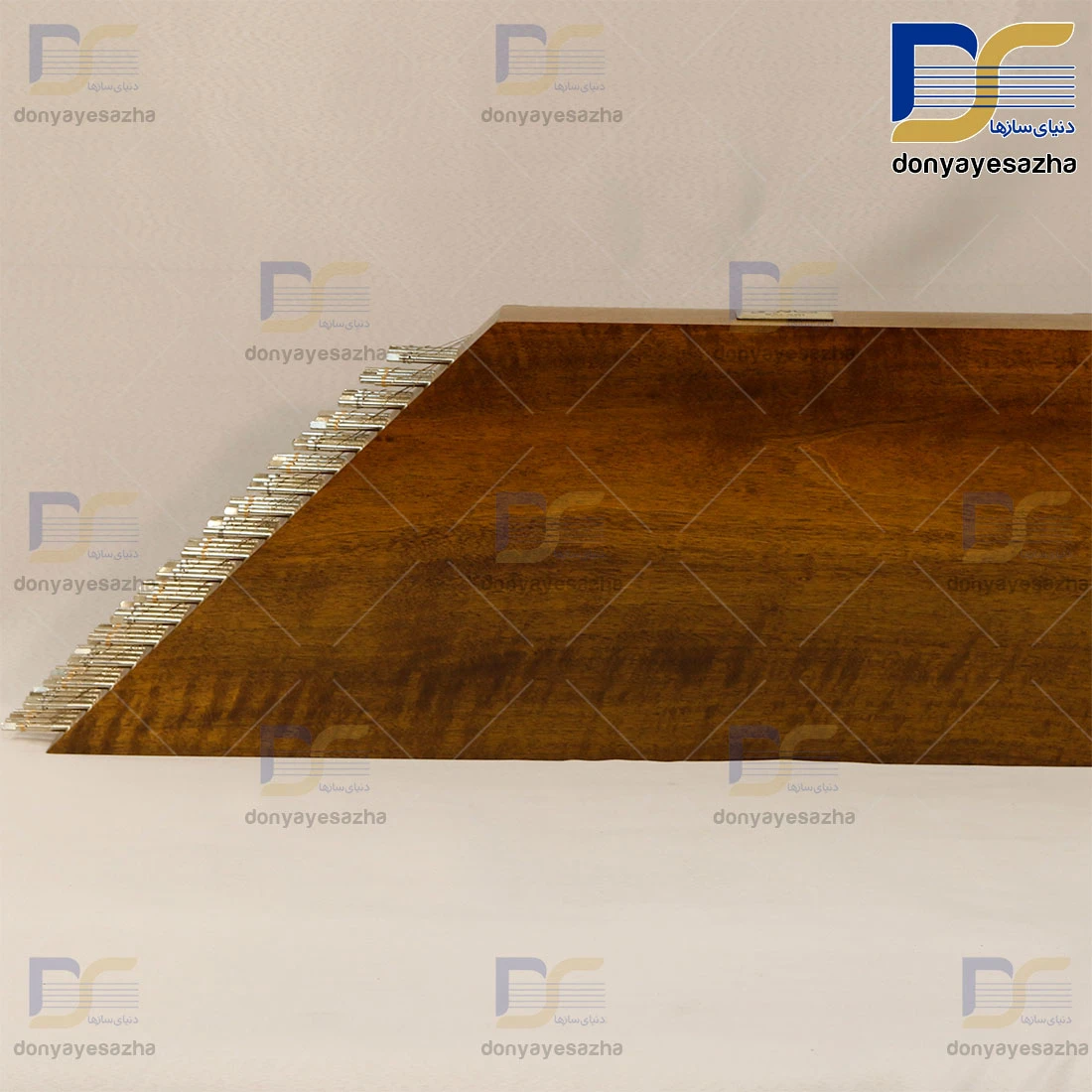 سنتور سالاری دو مهرویژه