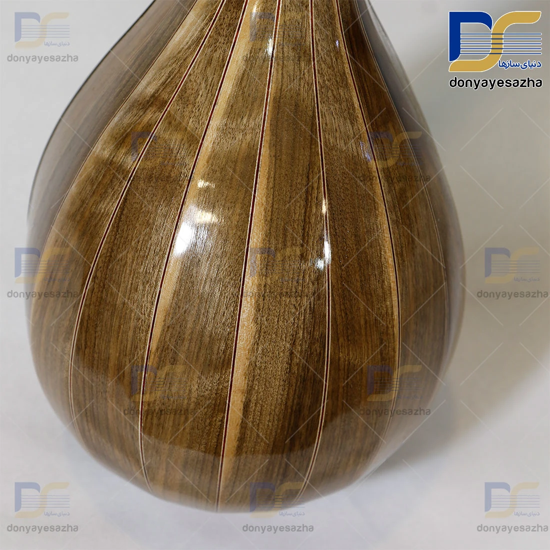 سه تار امیر ویژه