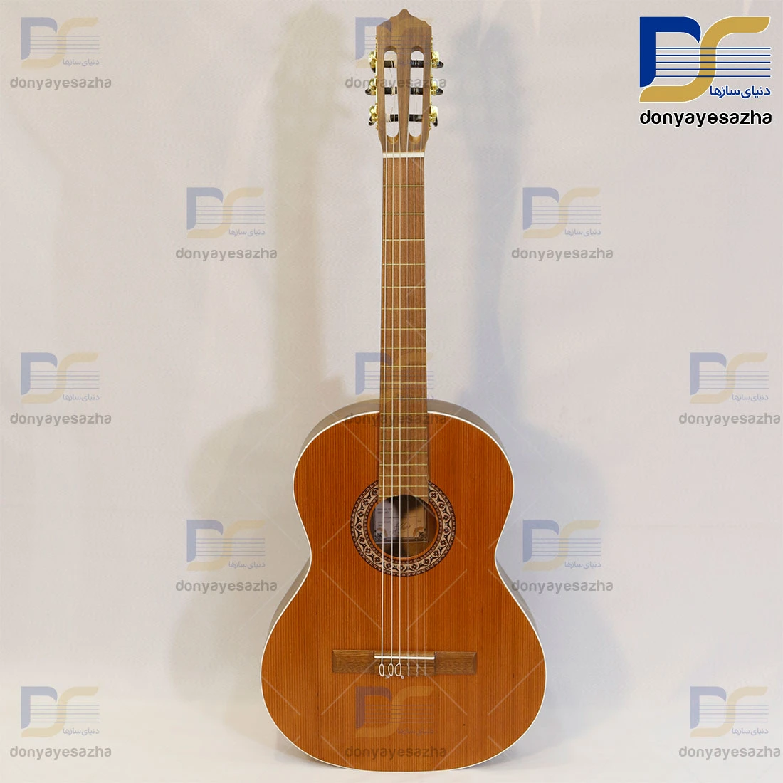 گیتار پارسی PARSI_M6 اصلی