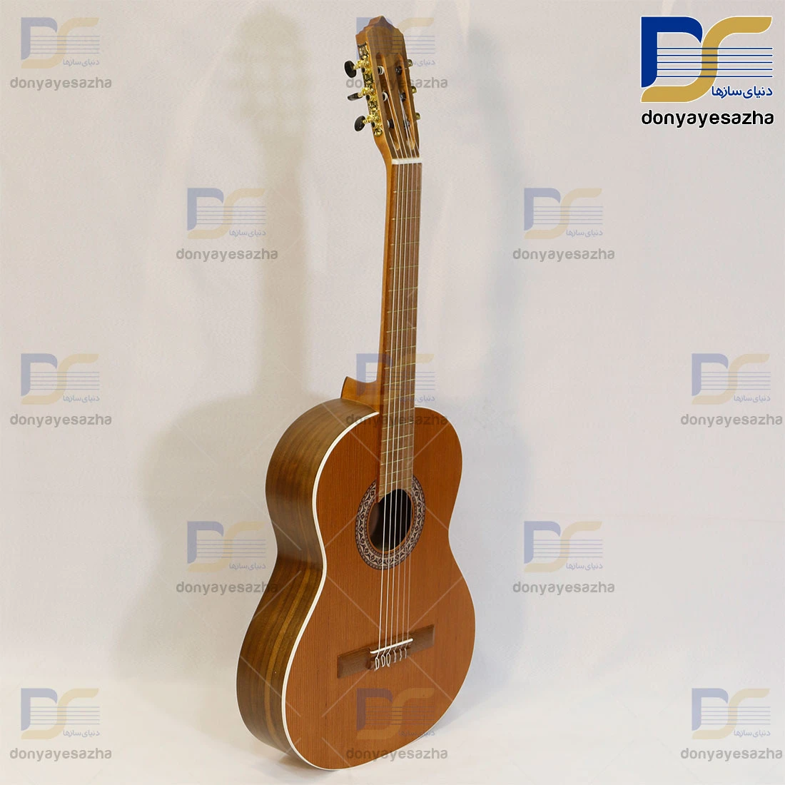 گیتار پارسی PARSI_M6 اصلی