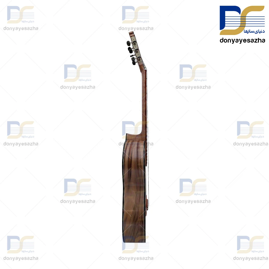 گیتار کلاسیک Daise مدل zebra دی سی