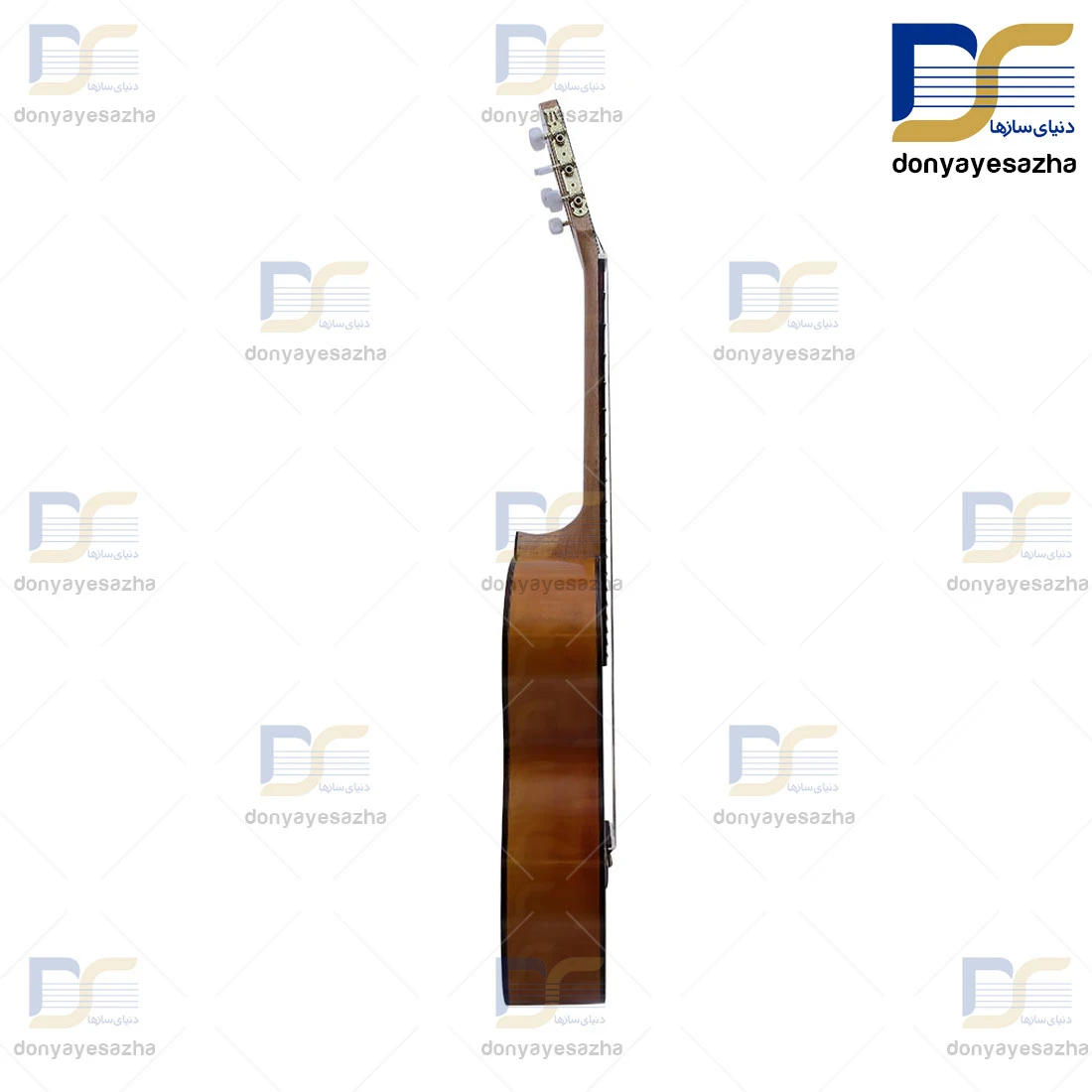 گیتار پارسی  PARSI_M2 اصلی