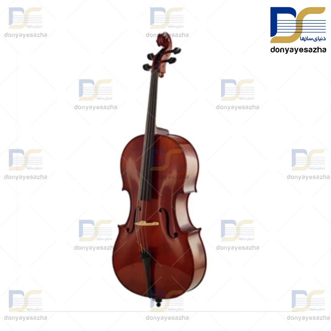 قیمت ویلنسل ایستمن Eastman مدل VC-300 ویلن سل