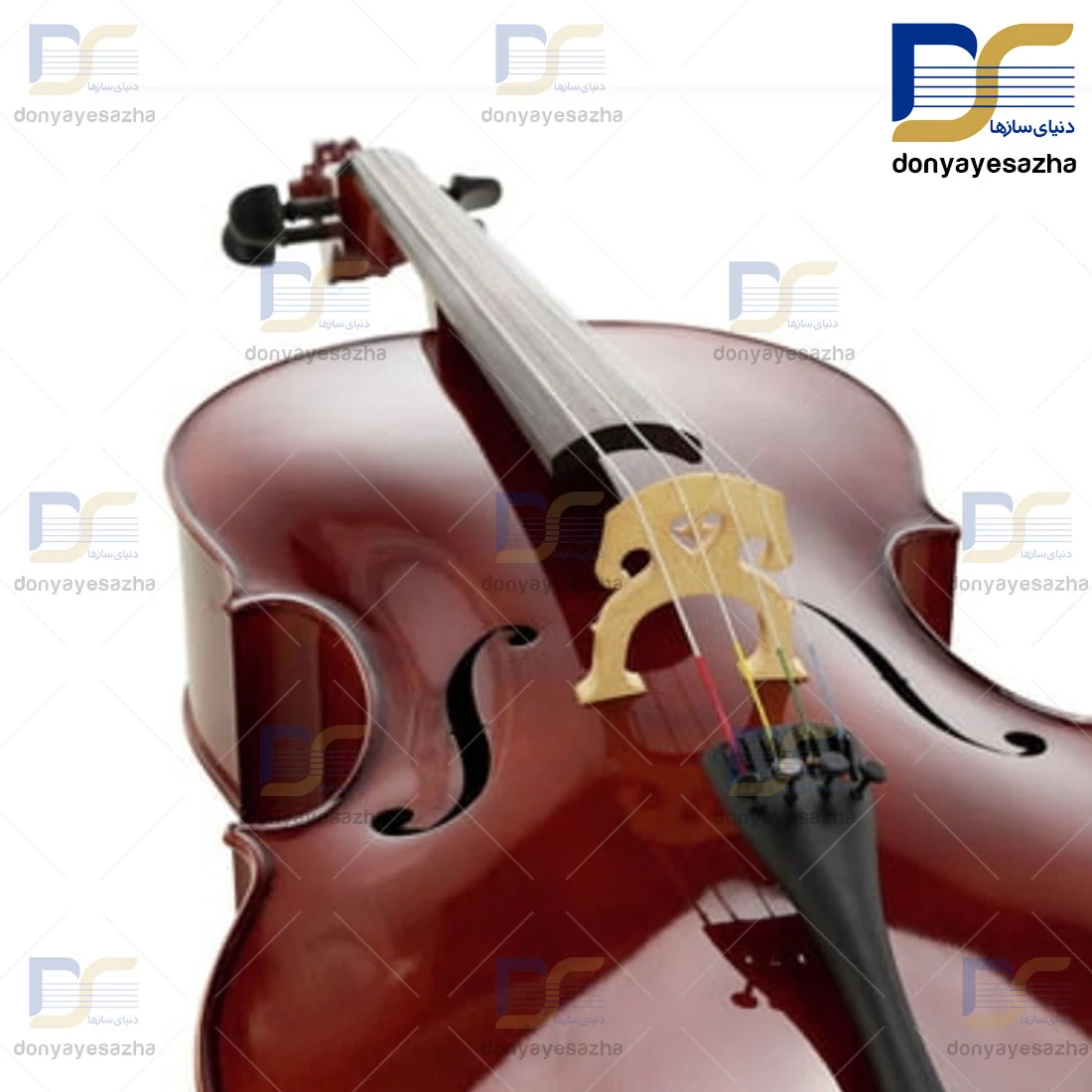 قیمت ویلنسل ایستمن Eastman مدل VC-300 ویلن سل