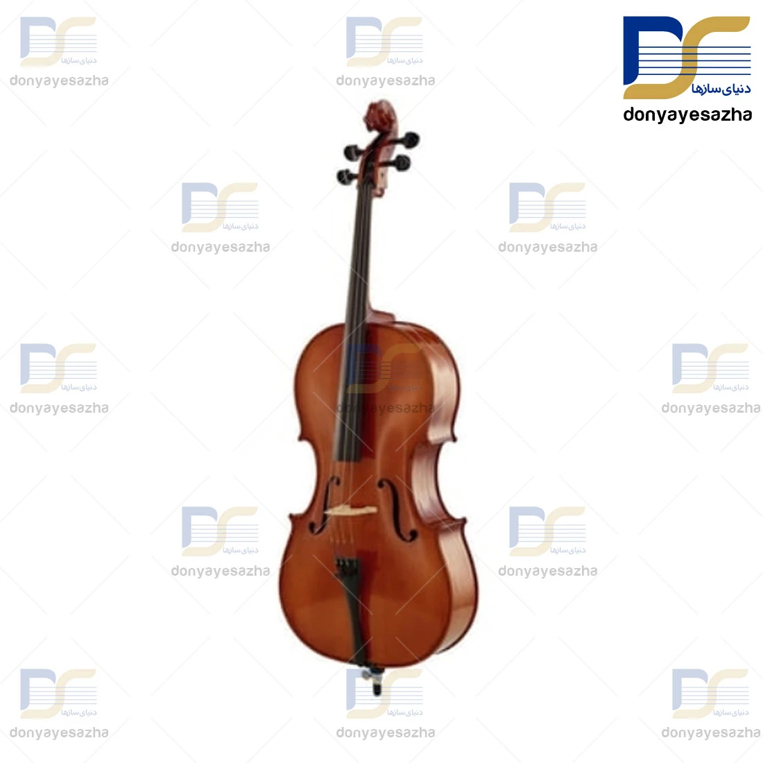 قیمت ویلنسل ایستمن Eastman مدل VC-300 ویلن سل