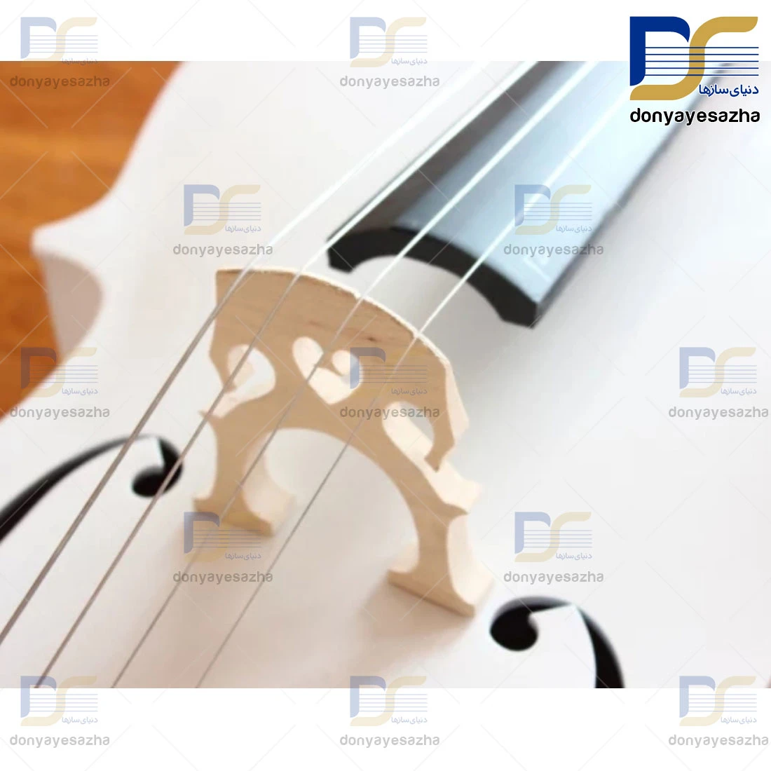 خرید ویلنسل Eastman مدل VC_205 W ویولن سل
