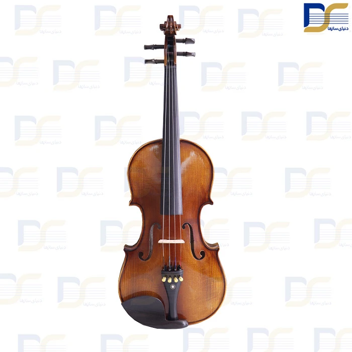 خرید ویولن البرت کارل مولر Albert Carl muller مدل V-900