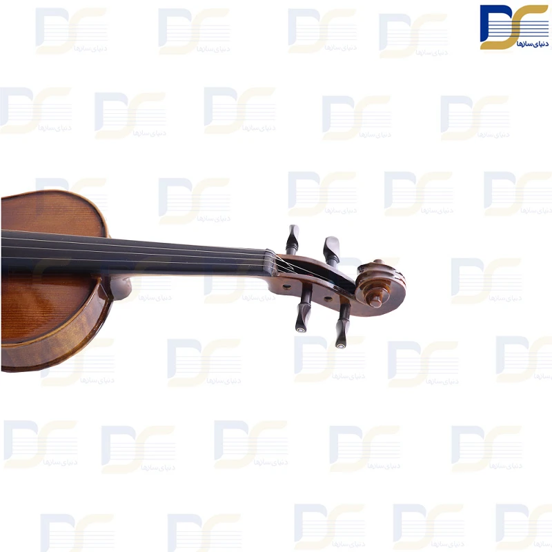 خرید ویولن البرت کارل مولر Albert Carl muller مدل V-900