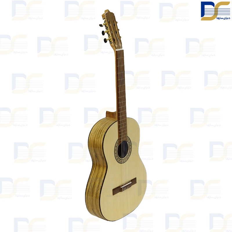 گیتار پارسی PARSI-P70 اصلی