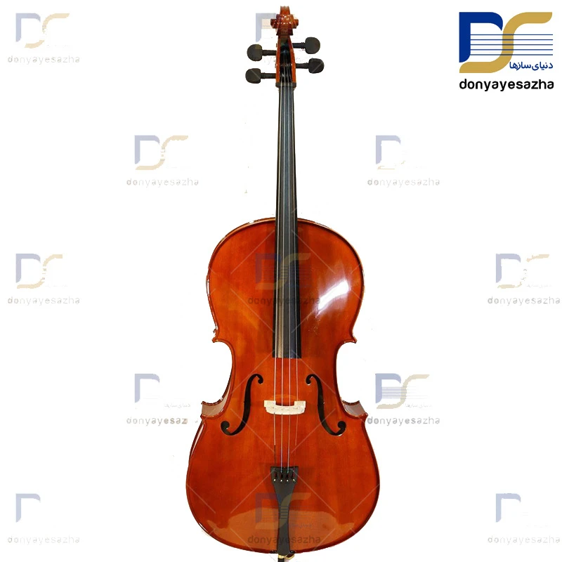 قیمت وخرید ویولنسل ایستمن Eastman مدل VC-200 ویلنسل