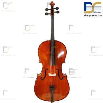 قیمت وخرید ویولنسل ایستمن Eastman مدل VC-200 ویلنسل