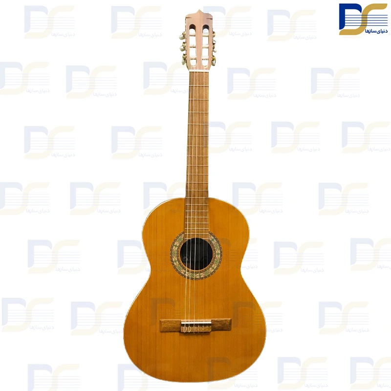 گیتار پارسی PARSI_P80 اصلی
