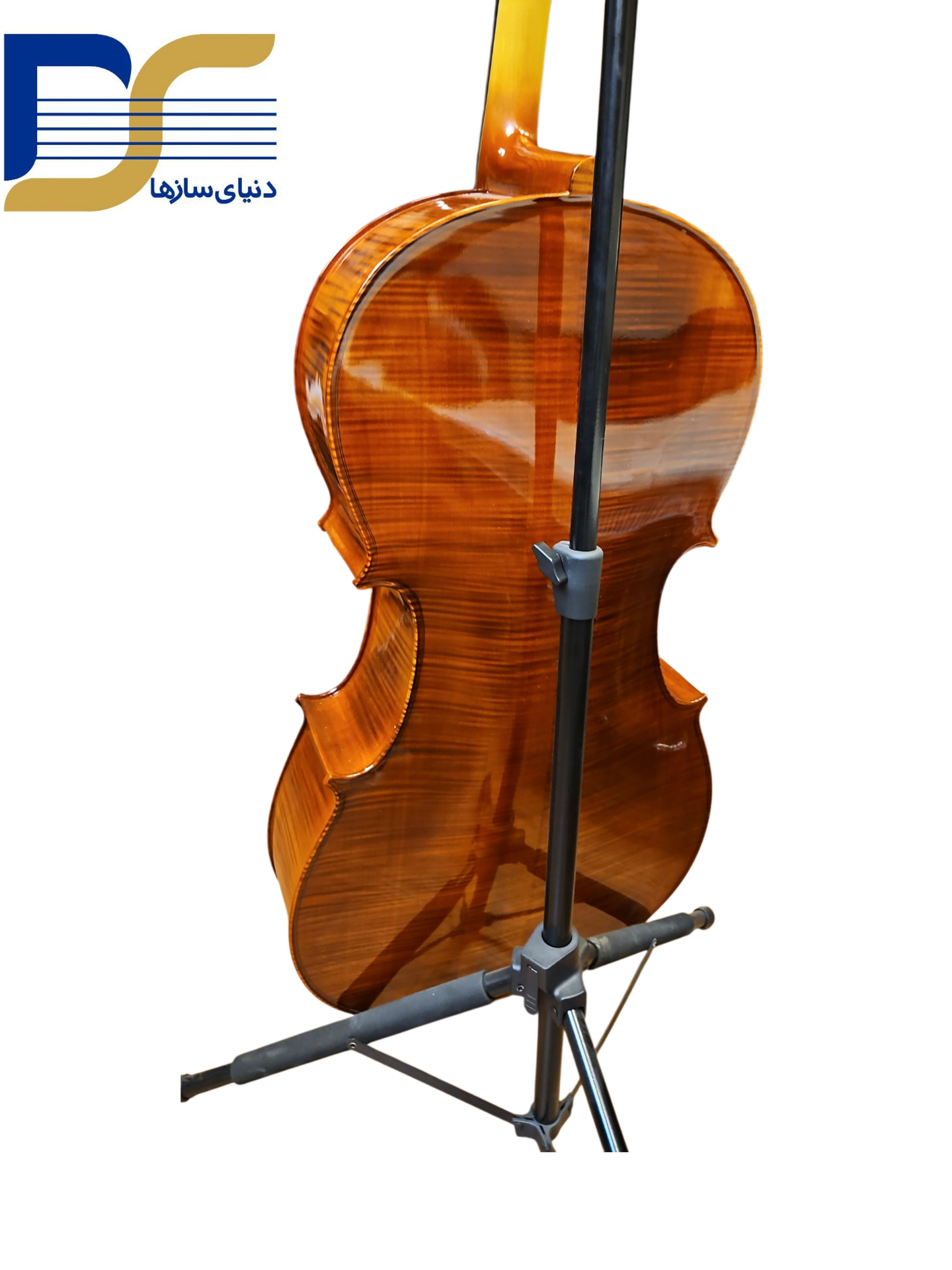 قیمت ویلنسل ایستمن Eastman مدل VC-300 ویلن سل